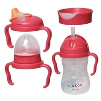 B.Box 四合一婴幼儿全阶段训练水杯套装（树莓色）升级款