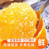 四川爱媛果冻橙38号水果 5斤中果（果径约65-70mm）