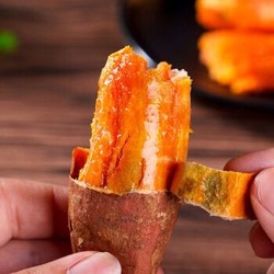 西瓜红红薯 农家自种 5斤小果