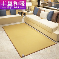 丰盈和暖碳晶移动地暖垫 电热地毯 韩国取暖毯电热瑜伽垫 榻榻米电热炕板 冬季高温取暖器200*100 LG0853
