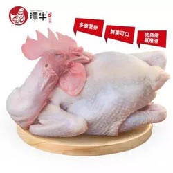 京东plus会员:潭牛 110天海南文昌鸡大公鸡 净重2斤 *3件