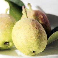 新疆库尔勒特级香梨子水果新鲜当季整箱批发雪梨5斤10斤大果 5斤中果（单果100-120克）