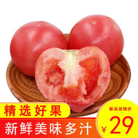 京东PLUS会员：普罗旺斯西红柿净重5斤顺丰快递