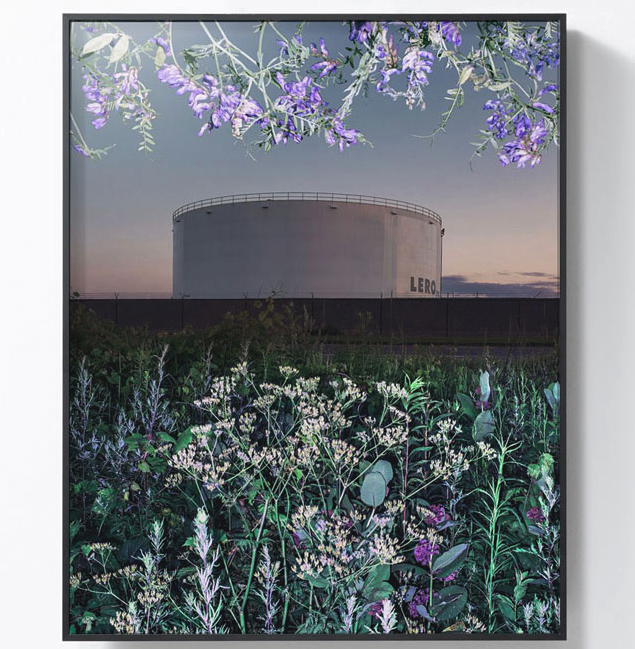 Benoit Paillé 贝努瓦·帕耶 摄影作品《视觉 1号》Vision #1