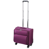 米拉达（MILADA）拉杆箱16英寸紫色女商务电脑登机箱旅行箱子行李箱ML6039
