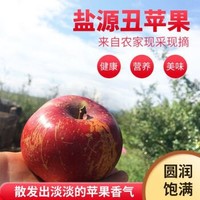 京东PLUS会员：三苏农家  冰糖心丑苹果 中果20－24个 净重8斤