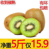陕西绿心猕猴桃大果单果100-120克 净重5斤24个左右 新鲜水果大果奇异果生鲜