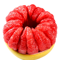 福建琯溪红心柚子 新鲜水果 美味多汁 应季水果送礼 含箱4.5-5斤（2个装）