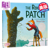 粗糙的补丁 走过艰难时刻 英文原版 The Rough Patch 精装 死亡教育绘本