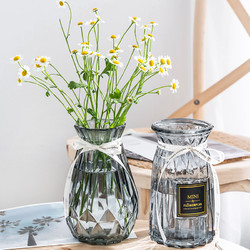 北欧玻璃小花瓶透明彩色水培植物干花欧式客厅插花摆件