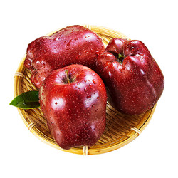 甘肃花牛苹果净重5斤中果5件