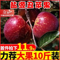大凉山盐源丑苹果新鲜水果10斤脆甜冰糖心大苹果红富士整箱包邮5