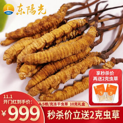 东阳光 冬虫夏草 4-5条/克 滋补高档礼盒装 饱满无断草无空草 新鲜