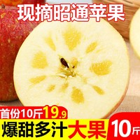 珍果购 云南现摘昭通冰糖心丑苹果10斤