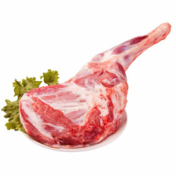 桓襄 呼伦贝尔羊前腿 内蒙古草原羔羊前腿 炖羊前腿肉