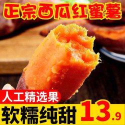 悦典(食物) 红薯新鲜西瓜红纯甜蜜薯 粉糯软红心现挖沙地山芋农家红瓤