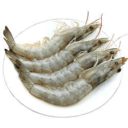 鲜驰大虾鲜活海鲜特大水产虾类1500g1112cm