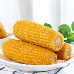 正宗东北糯玉米新鲜软糯10根每只200g(装)