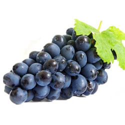 夏黑葡萄新鲜水果当季无籽提子应季黑葡萄2斤3斤5斤 2斤精品串装