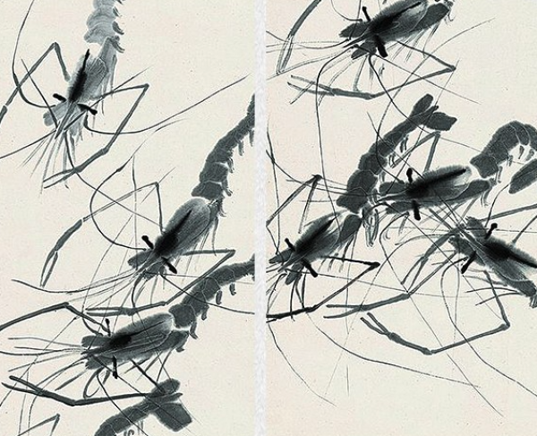 水墨画齐白石《虾趣图》装饰画挂画卧沙发背景墙壁画