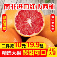 寻天果蔬 南非进口红西柚子 葡萄柚生鲜水果 4粒装 220-300g