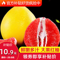 十记庄园 广东梅州柚子红心蜜柚 蜜柚新鲜柚子送礼水果 红柚含箱10斤(净果8.5-9斤)