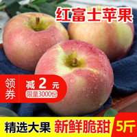 山东红富士苹果水果生鲜时令冰糖心丑苹果脆甜可口坏果包赔整箱装 5斤装(净重4.8)75-80mm