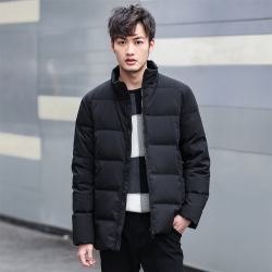 雪中飞羽绒服男2020新款时尚立领羽绒服男款休闲男士羽绒服短款