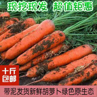 十斤特惠新鲜胡萝卜新鲜蔬菜沙地水果红萝卜现挖农家自种胡萝卜 净重5斤(中果)