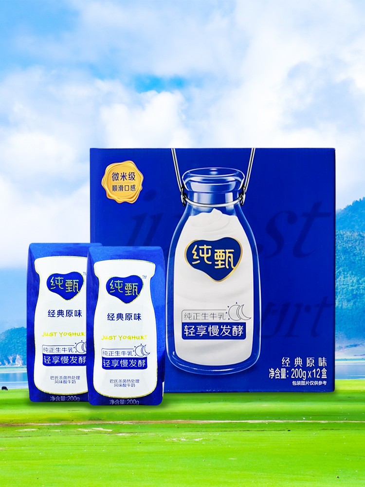 11月产蒙牛纯甄酸奶 200g*12盒常温风味早餐奶