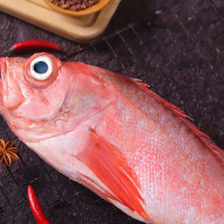 京东plus会员:红石斑鱼整条鲜活速冻5斤