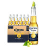 Corona 科羅娜 墨西哥品牌科羅娜啤酒330ml*24瓶裝精釀特價科羅納凱羅拉清倉