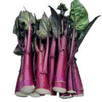 移动端：龙烜 四川红菜苔 新鲜蔬菜 1000g