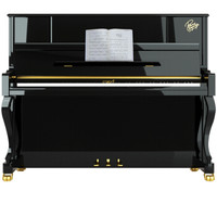 CAROD 卡罗德 全新演奏立式钢琴CJ3  123高度 黑色