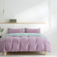 冬暖绒抗菌保暖柔软床单被套双面短毛绒四件套床上用品 香芋紫