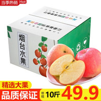 山东烟台红富士苹果水果  新鲜苹果京东生鲜水果 约5kg 毛重
