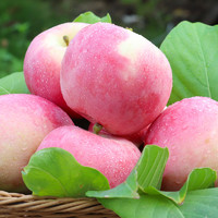 苹果水果新鲜10斤山西红富士丑苹果整箱