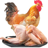 牧憨农庄 农家三黄鸡土鸡生鲜 鸡肉整鸡杀后约700g/只 *3件