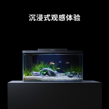 小佩起源纪智能鱼缸家用小型鱼缸办公室桌鱼缸水族箱灯光增氧水泵造景超白玻璃金鱼缸 智能鱼缸+寂静の石造景
