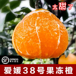 爱媛38号果冻橙柑橘新鲜水果5斤装单果200g以上