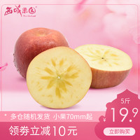 新疆阿克苏冰糖心苹果净重5斤丑红富士苹果当季新鲜水果包邮10