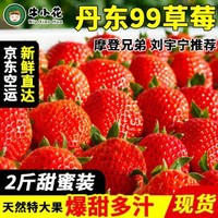 九九草莓丹东特产 红颜草莓新鲜水果现摘现发 果园直发 2斤甜蜜装（净重1.9斤）