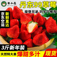 京东PLUS会员：九九草莓丹东特产 红颜草莓新鲜水果现摘现发 果园直发 3斤新年装（净重2.8斤）