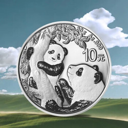 2021年熊猫金银币纪念币.999足银熊猫币