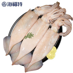 海福特 国产海捕整条大鱿鱼500g 2-3条 袋装 烧烤火锅食材 海鲜水产 *