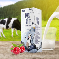 JUNLEBAO 君樂寶 遇見奶牛全脂純牛奶 200mL*24盒整箱 營養早餐家庭量販