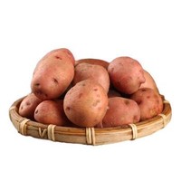 云南高原新鲜 小土豆 个头小自然野外农户种植 红皮黄心小洋芋蔬菜 中大果5斤（鹅蛋大小左右） 9斤装