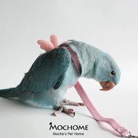 MOCHOME  摩卡的宠物家园 背带式鹦鹉牵引绳