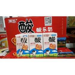 四川成都特产菊乐酸乐奶饮料儿童早餐整箱250ml24盒