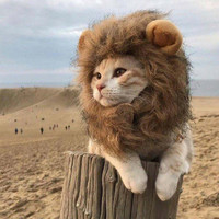 HOOPET 華元貓咪獅子頭套小耳朵帽子狗狗泰迪比熊變身獅子英短加菲貓假發飾品